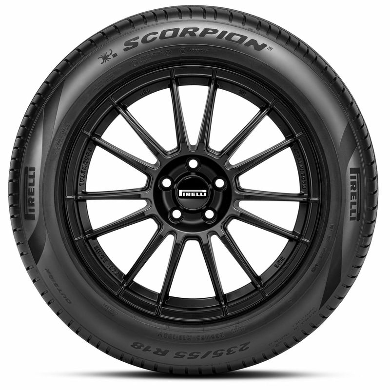 scorpion-img-2